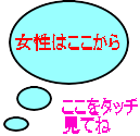  　サプリメント